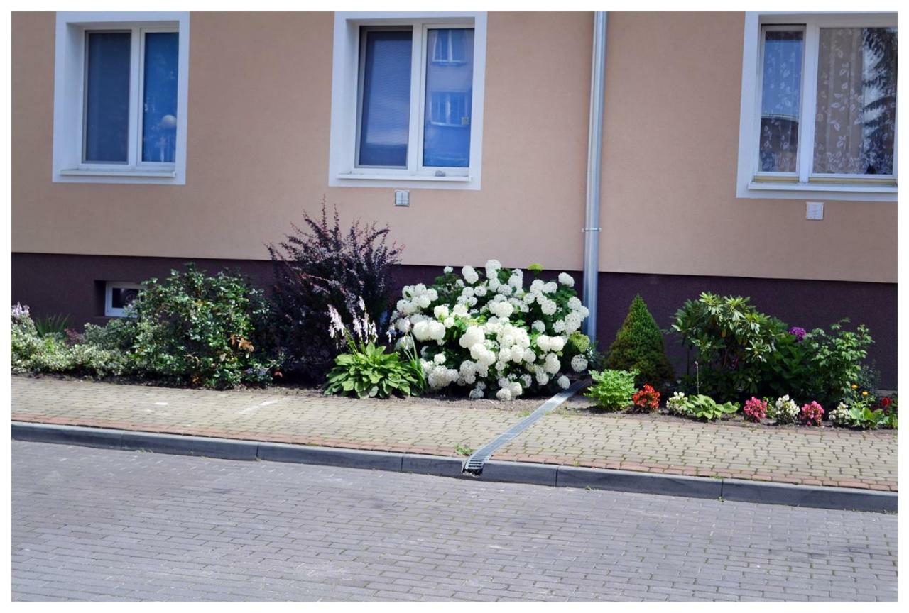 Color24 Apartament Stalowa Wola Εξωτερικό φωτογραφία